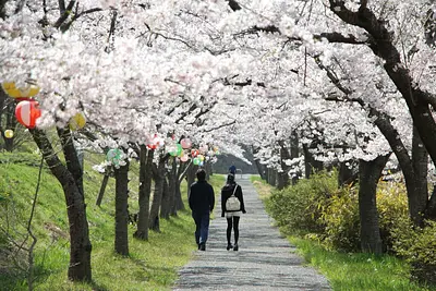 瀬峰五輪堂山公園