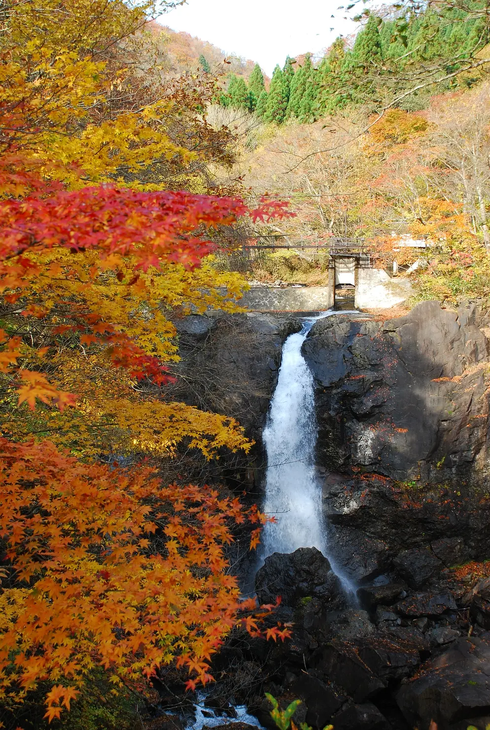 【栗駒山送迎コース】思い立ったら東京から日帰りできるお手軽旅