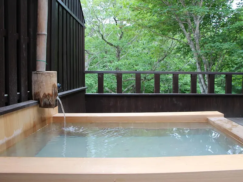 秘湯・名湯 栗原の温泉