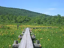 雄大な栗駒山を見ることもできる