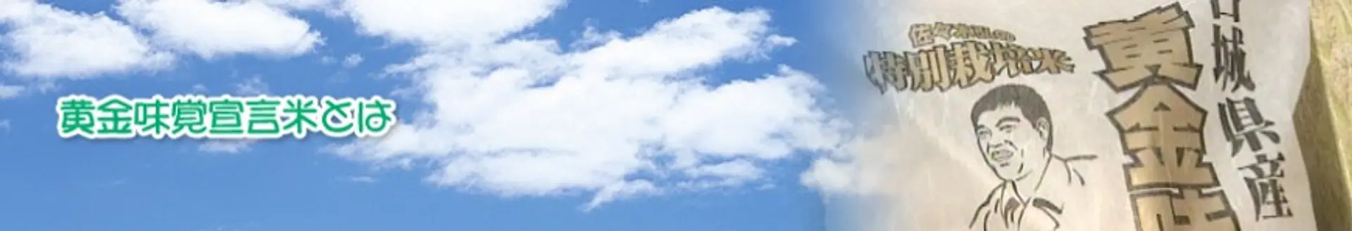 201703171718435965.jpg-14897387244