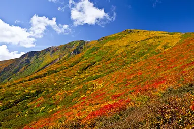 秋の栗駒山