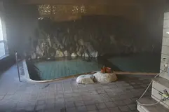 20201116141054332.JPG-1605503454