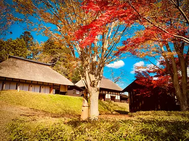 風の沢