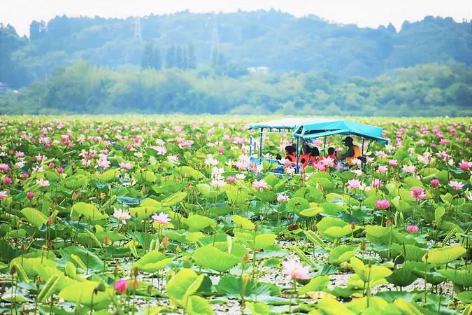 【必見】くりはらの7月のイベントやお祭り情報