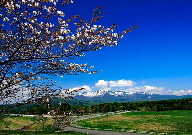 栗駒山の駒姿