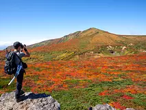 神の絨毯と呼ばれる栗駒山の紅葉には、多くの登山客が訪れる