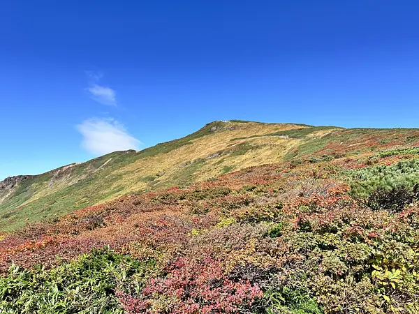 栗駒山の見ごろ情報（トレッキング・紅葉）