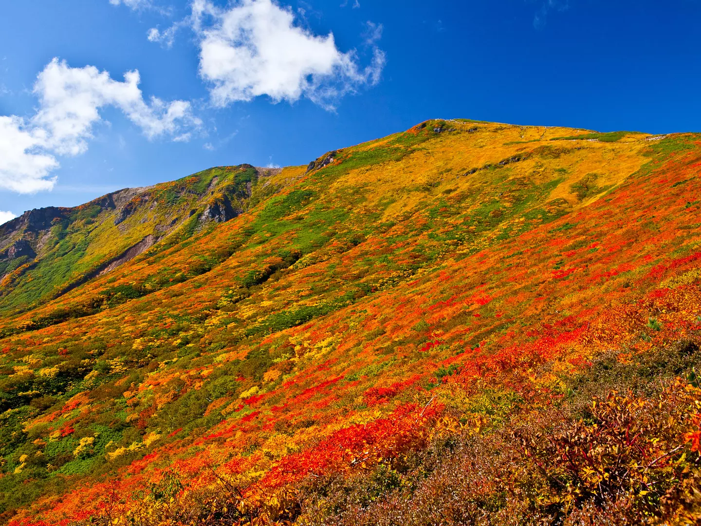 紅葉美しい秋の栗駒山