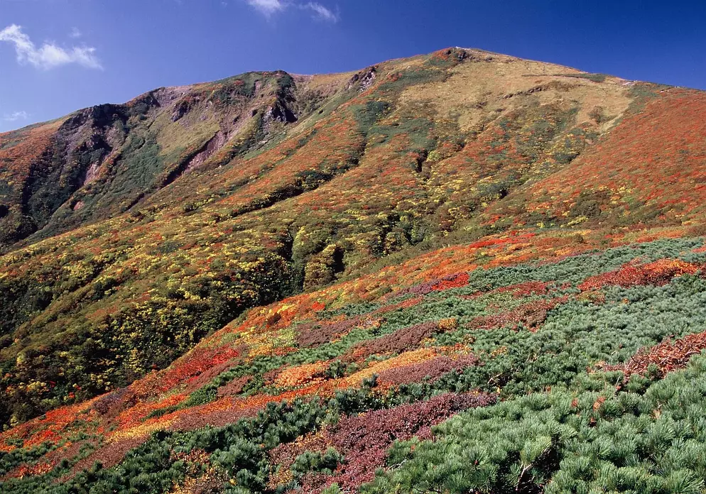 秋の紅葉が美しい栗駒山