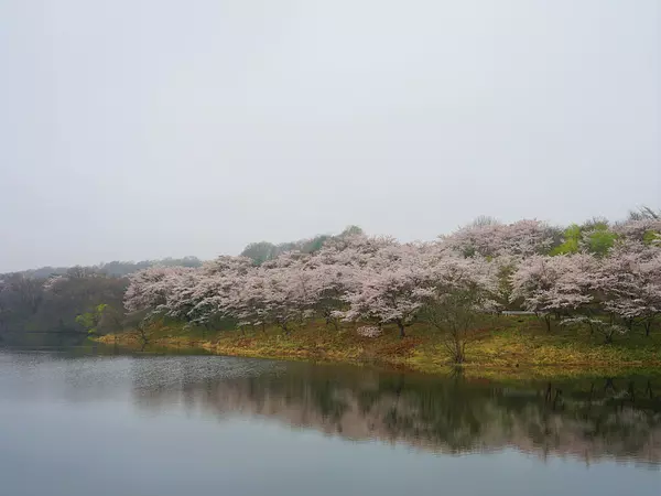 DSC05600.JPG