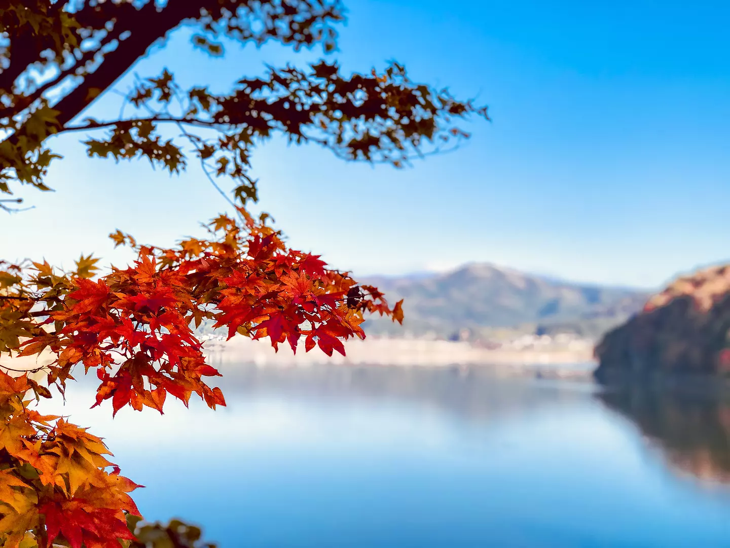 秋の花山湖