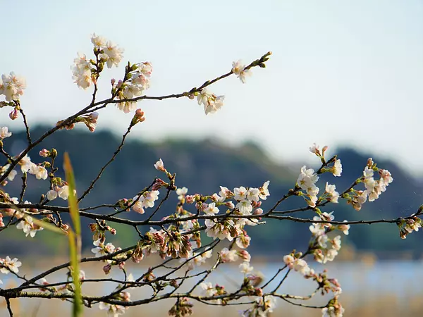 DSC05388.JPG